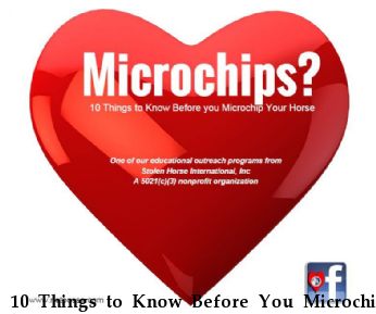 10 Things to Know Before You Microchip Your Horse